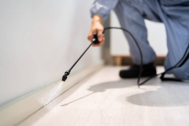 Licensed Ant Control service in Owen County County, IN - Nex Pest Control
